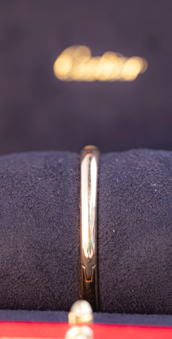 Cartier Baignoire Mini 24.6 mm x 18.7 mm Silver Dial 18k Yellow Gold Bracelet WGBA0044 - WATCHXNYC