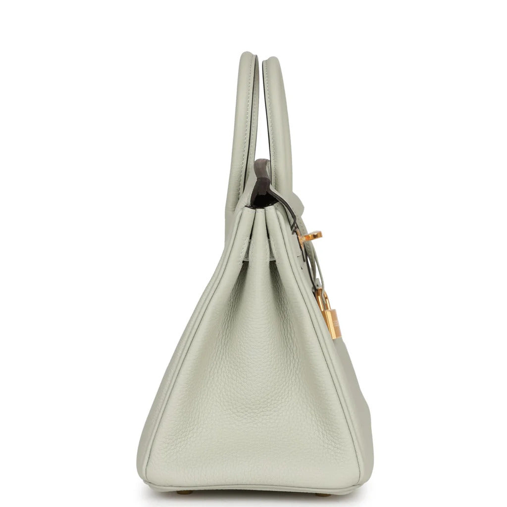 HERMES Birkin 25 Togo Gris Neve Gold Hardware - WATCHXNYC
