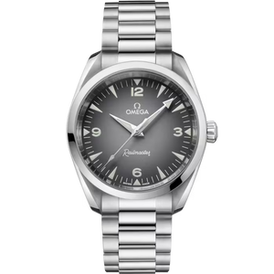 OMEGA Seamaster Railmaster 38mm Grey Dial Steel bracelet  235.10.38.20.06.001