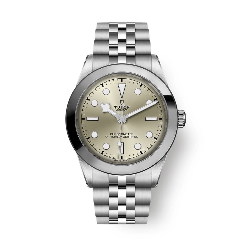 Tudor Black Bay 39 mm Grey Dial Stainless Steel Bracelet M79660-0003 - WATCHXNYC