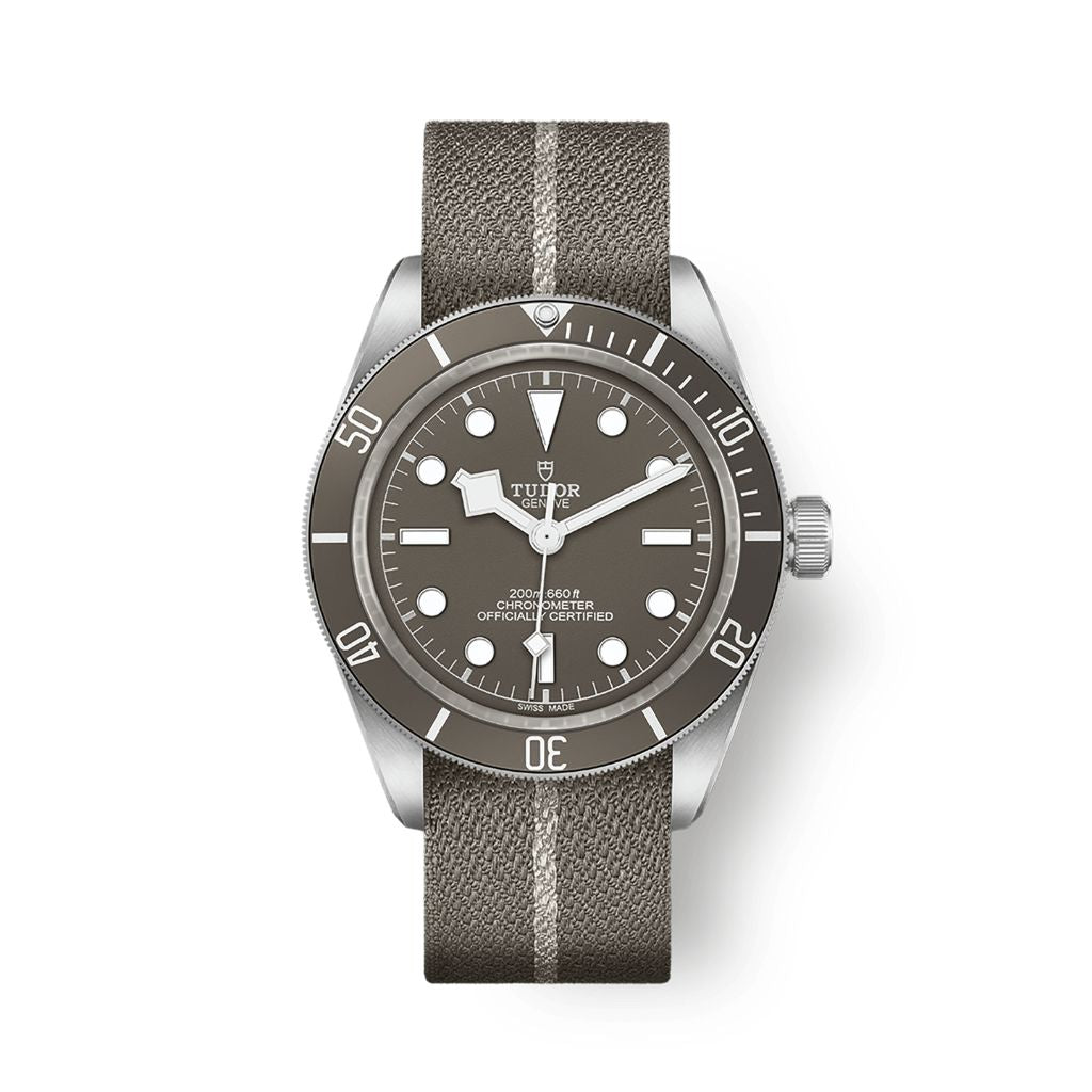 Tudor Black Bay 58 925 39 mm Dark Grey Dial Silver Fabric Strap M79010SG-0002 - WATCHXNYC