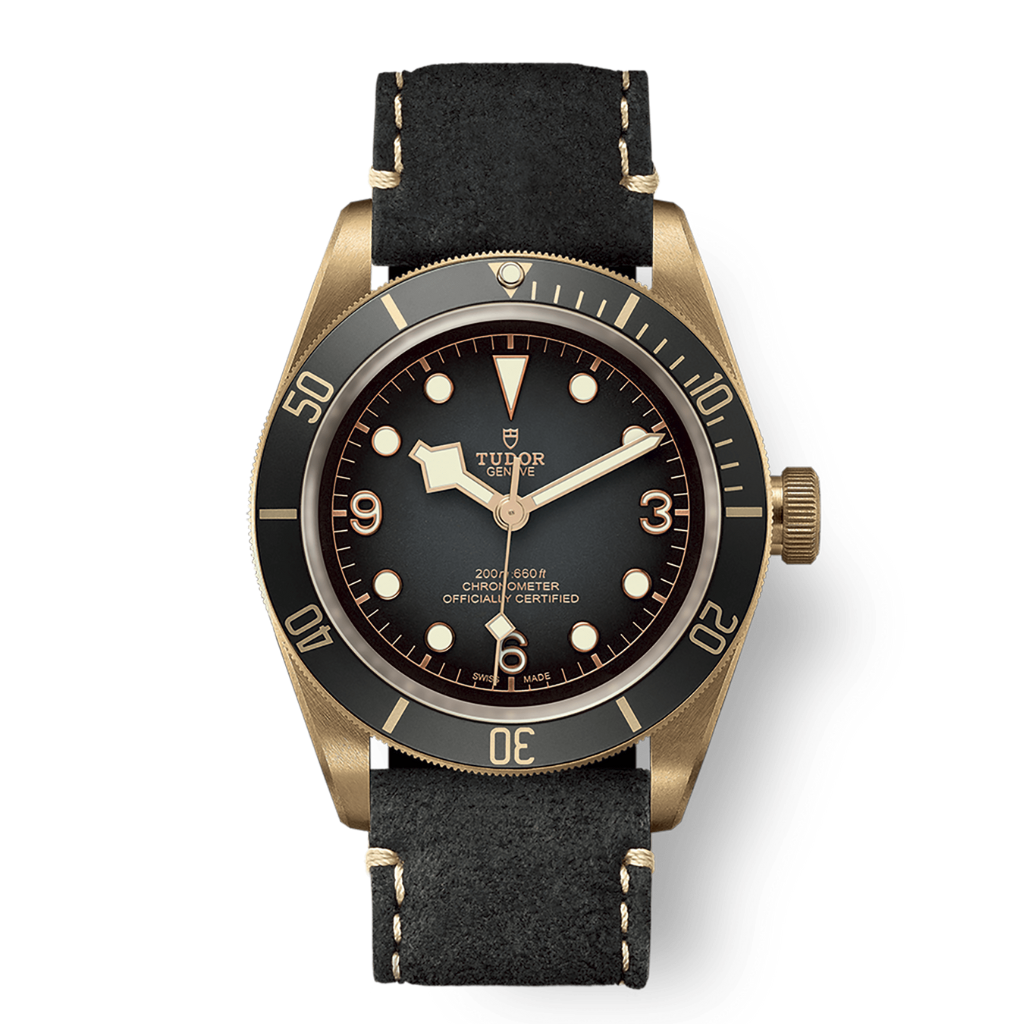 Tudor Black Bay Bronze 43 mm Slate Grey Dial Bronze Leather Strap M79250BA-0001 - WATCHXNYC