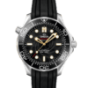 DIVER 300M Co‑Axial Master Chronometer 42 mm 210.22.42.20.01.003