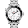 DIVER 300M Co‑Axial Master Chronometer 42 mm 210.30.42.20.04.001